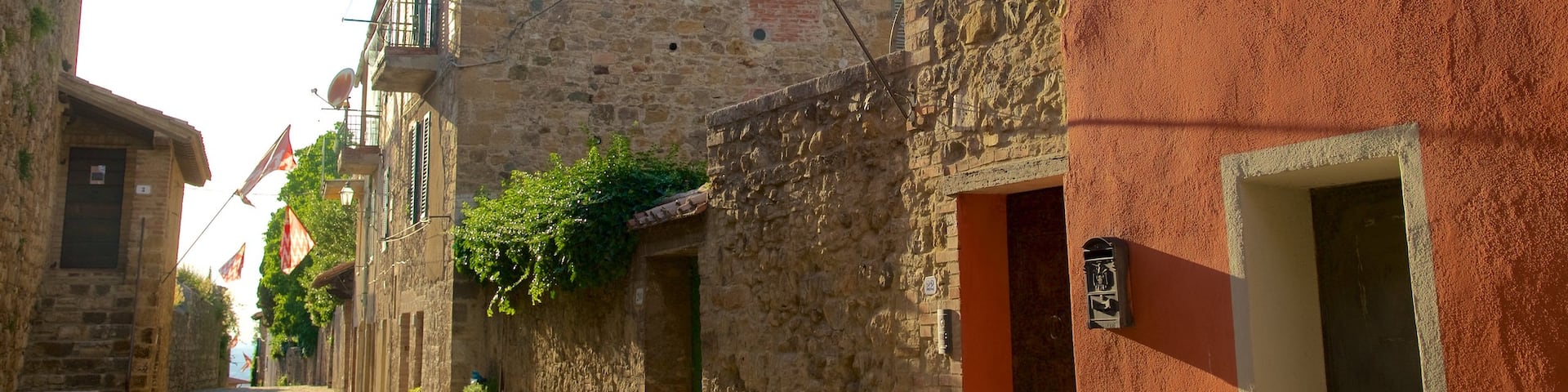 San Quirico d\'Orcia featuring heritage architecture