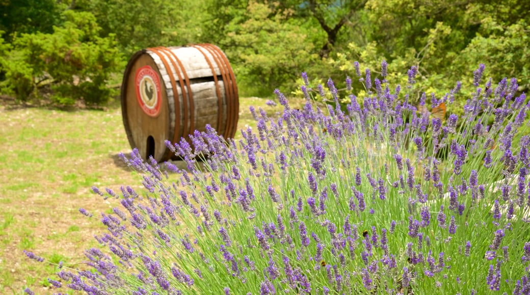 Regione del Chianti che include fiori