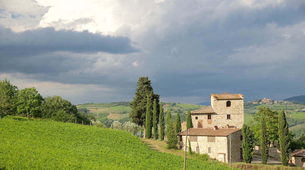 Castellina in Chianti ofreciendo tierras de cultivo