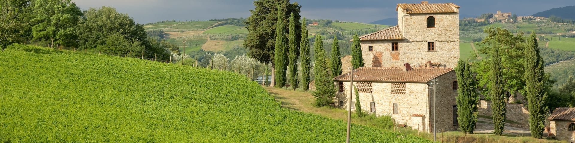 Castellina in Chianti which includes farmland