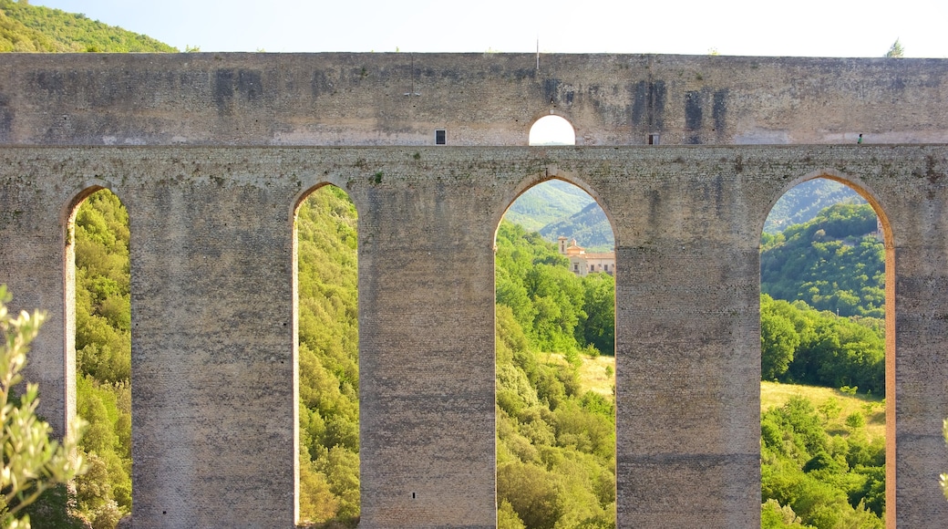 Ponte delle Torre ofreciendo patrimonio de arquitectura y un puente