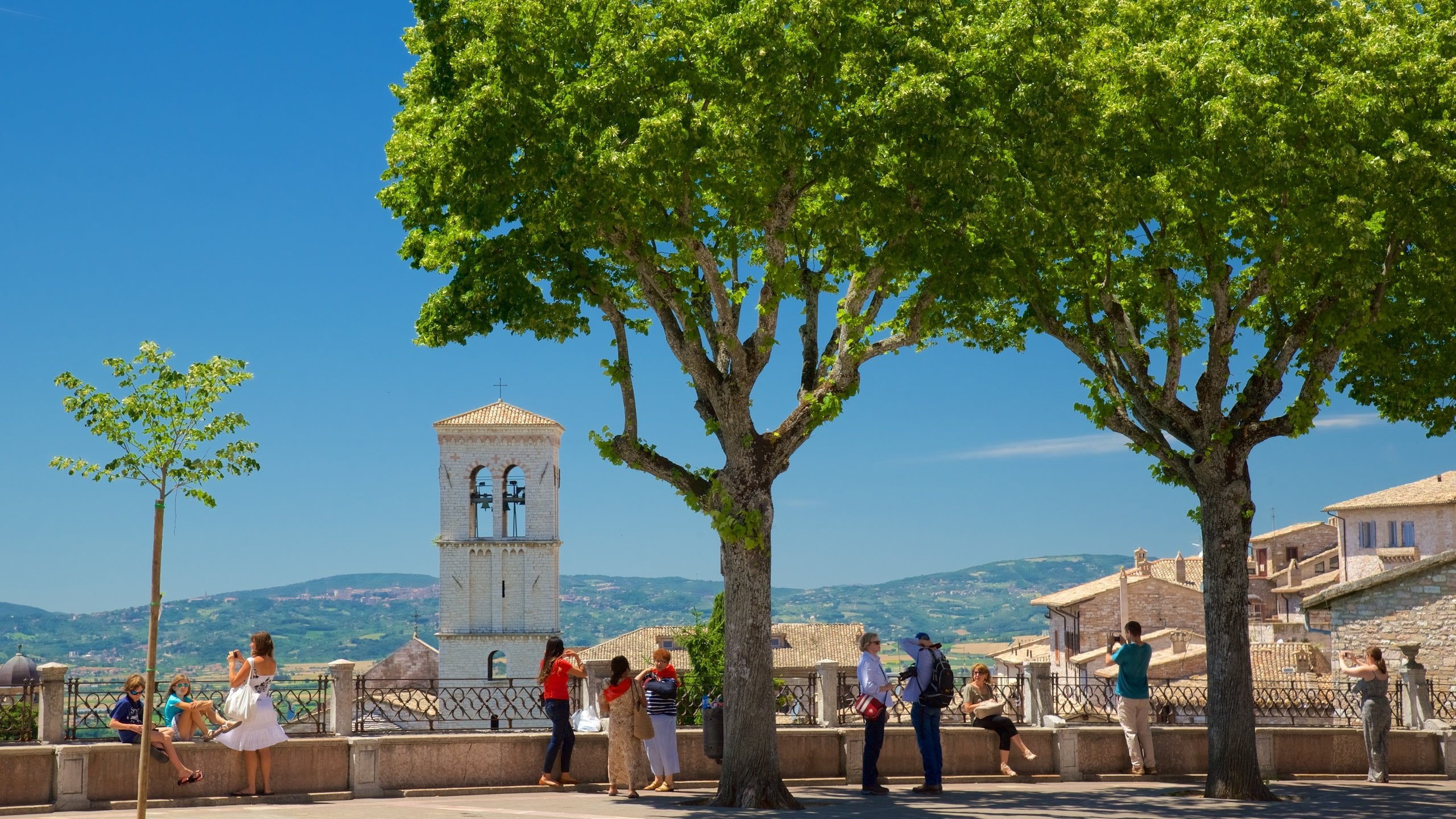 Assisi