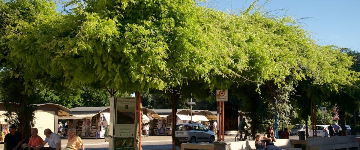 Santa Maria degli Angeli showing a park