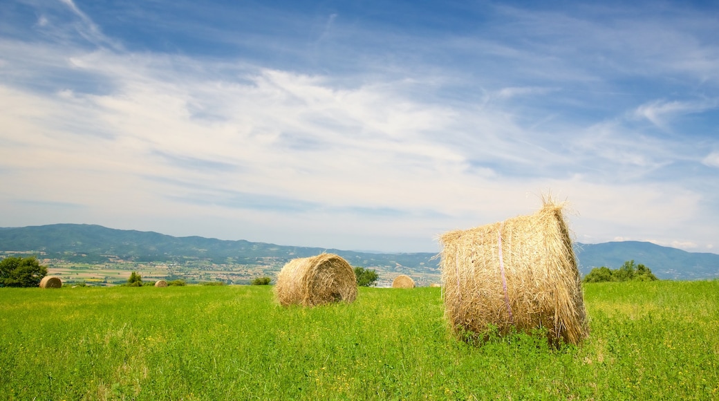 Umbria som inkluderer åkre