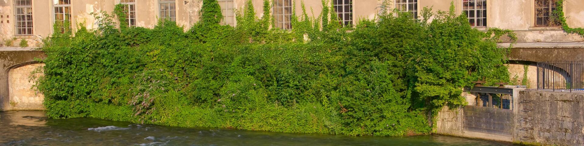 Rovereto featuring a river or creek
