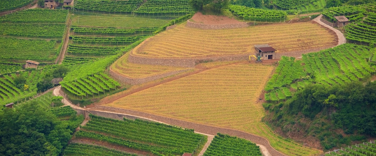 Trentino trong đó bao gồm trang trại