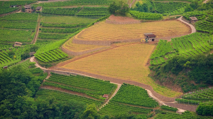 Trentino que inclui fazenda