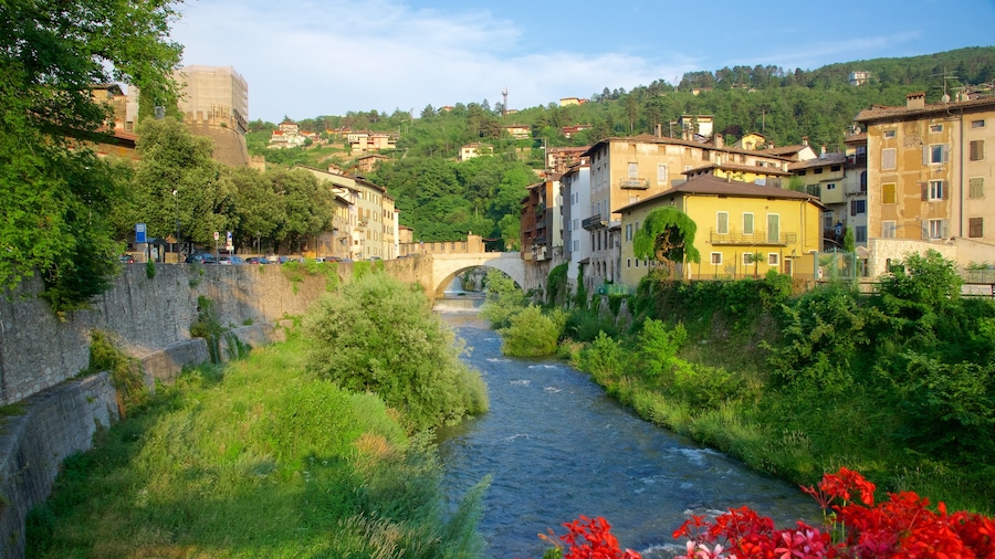 Rovereto showing flowers and a river or creek