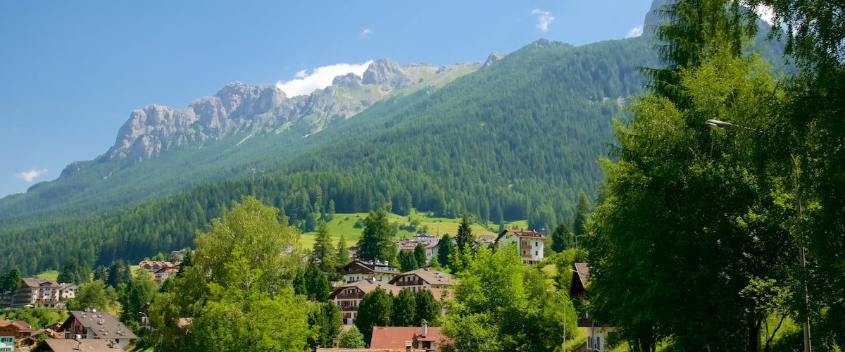 Moena montrant scĂšnes forestiĂšres
