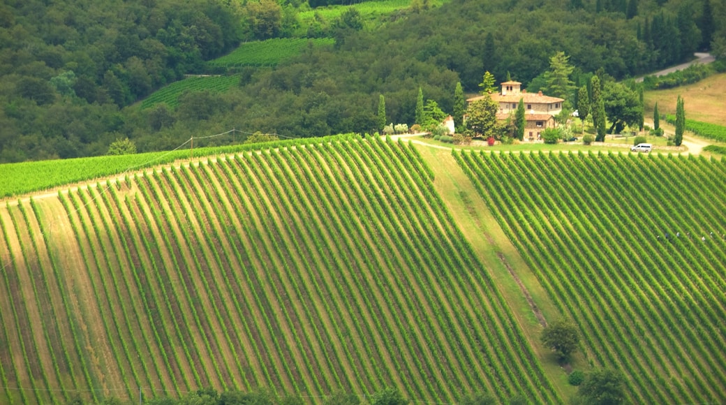 Chianti Region