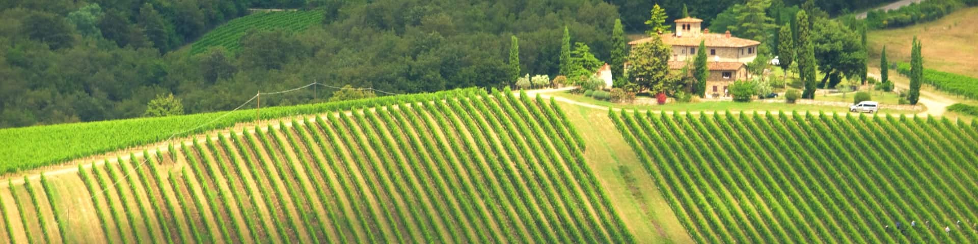 Chianti-Region welches beinhaltet Farmland