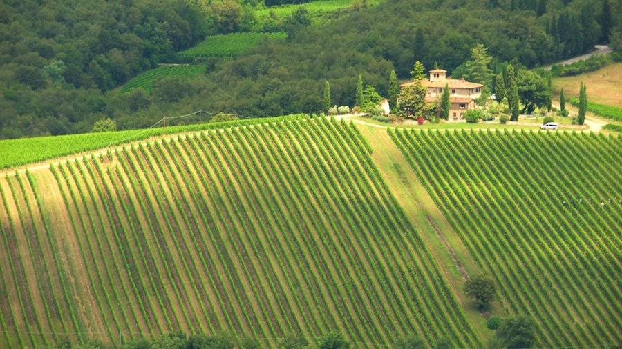 Région du Chianti montrant ferme