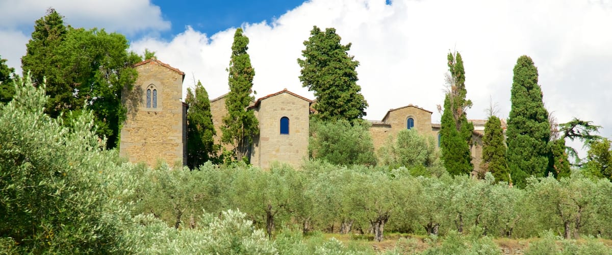 Cortona toont akkerland