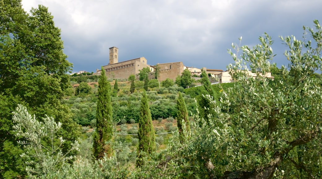 Cortona featuring farmland