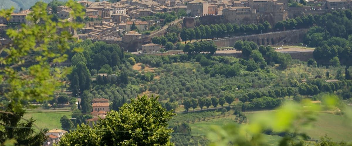 Orvieto welches beinhaltet Stadt und Farmland
