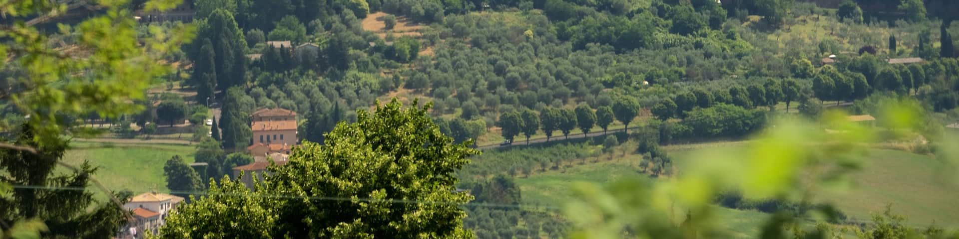 Orvieto welches beinhaltet Stadt und Farmland