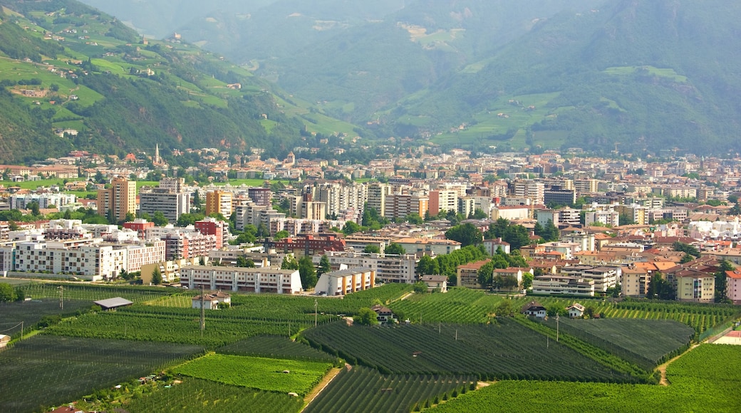 Bolzano showing a city and farmland
