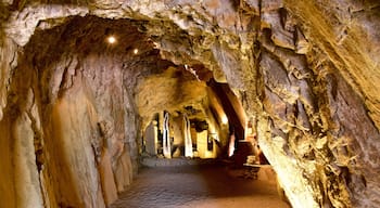 Museo Firmian de la Montaña Messner ofreciendo elementos del patrimonio y cuevas