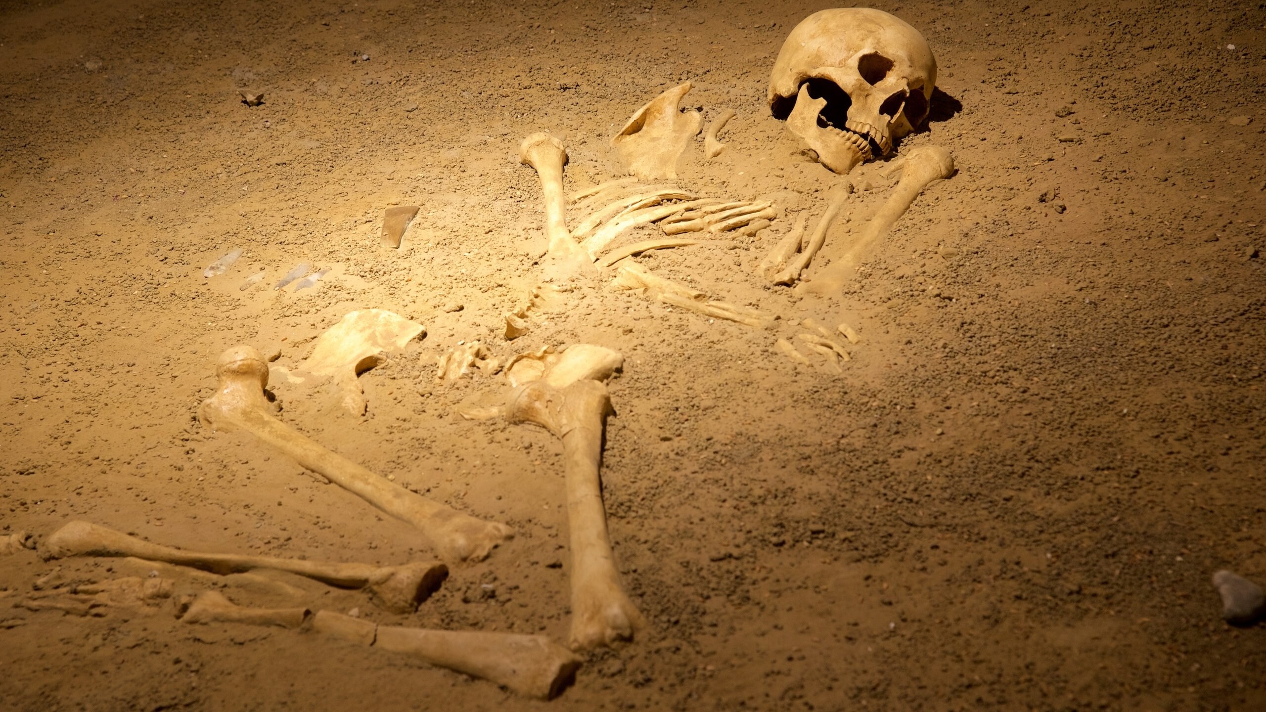 南チロル考古学博物館 ボルツァーノ エクスペディア