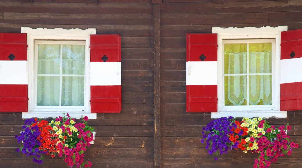 Soprabolzano som inkluderar ett hus och blommor