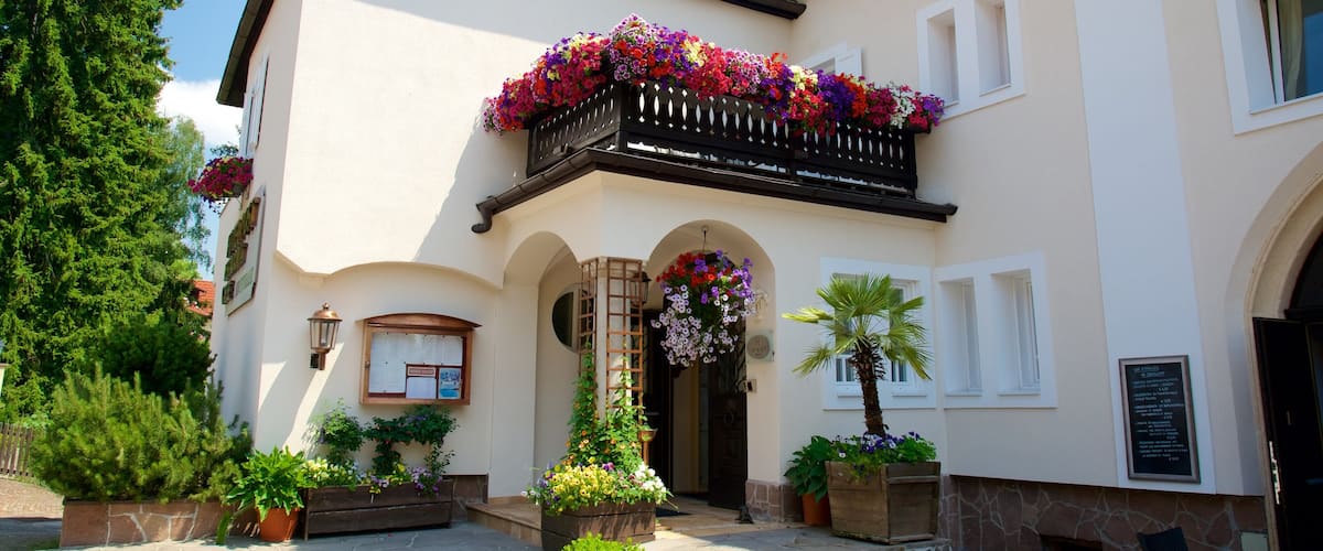 Soprabolzano mostrando flores