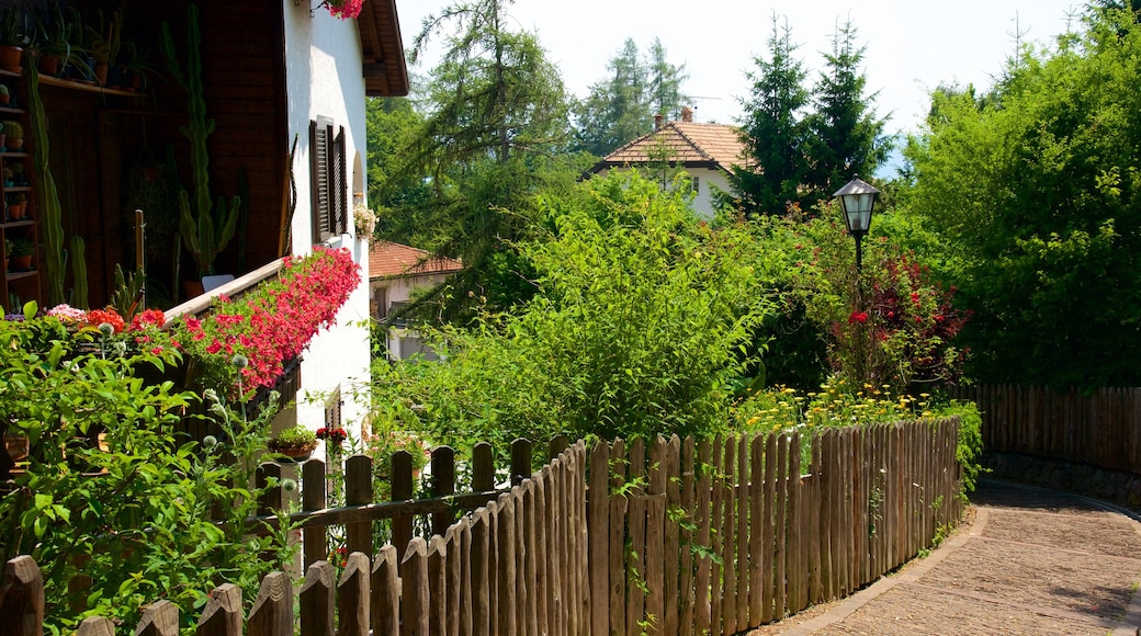 Ritten das einen Haus und Park