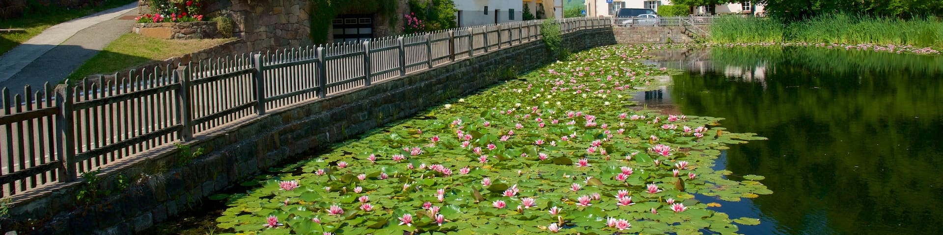 Ritten welches beinhaltet Haus, Blumen und Teich