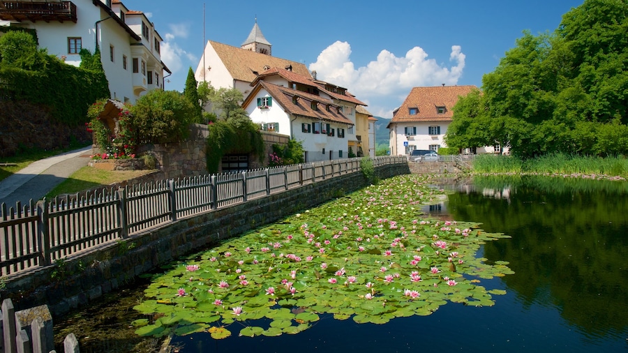Renon showing flowers, a house and a pond