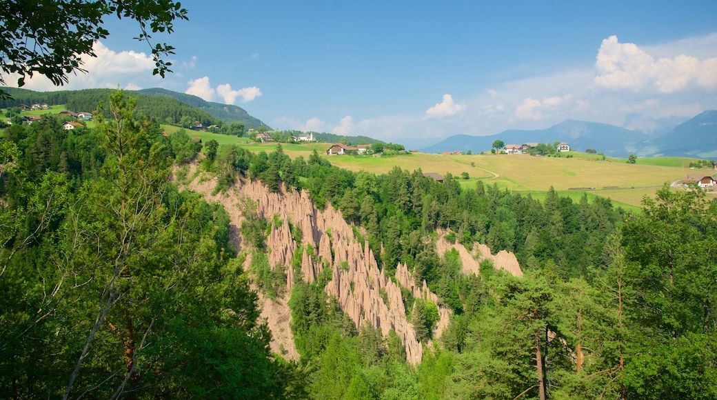 Renon caratteristiche di foresta e paesaggi rilassanti