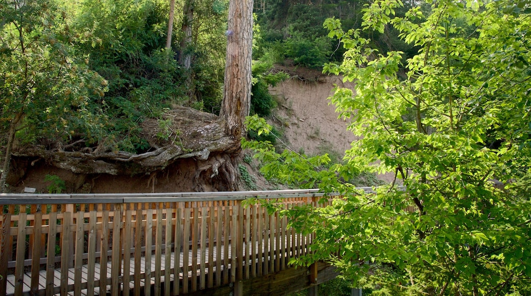 Renon featuring a bridge