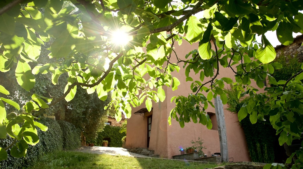 Castellina in Chianti featuring a house