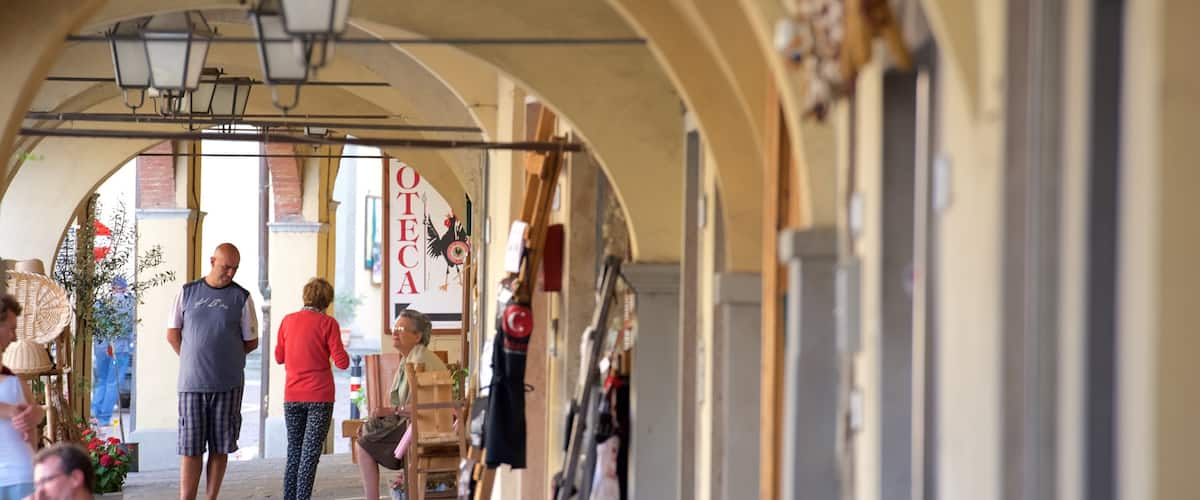 Greve in Chianti featuring markets and a small town or village