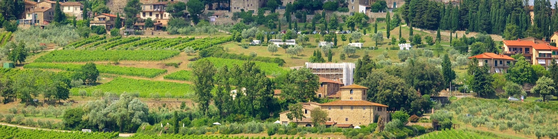 Panzano in Chianti featuring a small town or village and heritage architecture