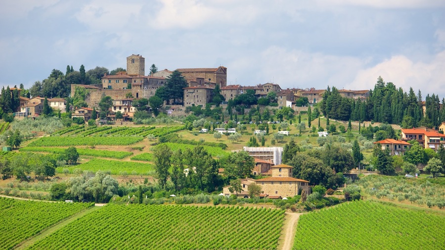 Panzano in Chianti featuring a small town or village and heritage architecture