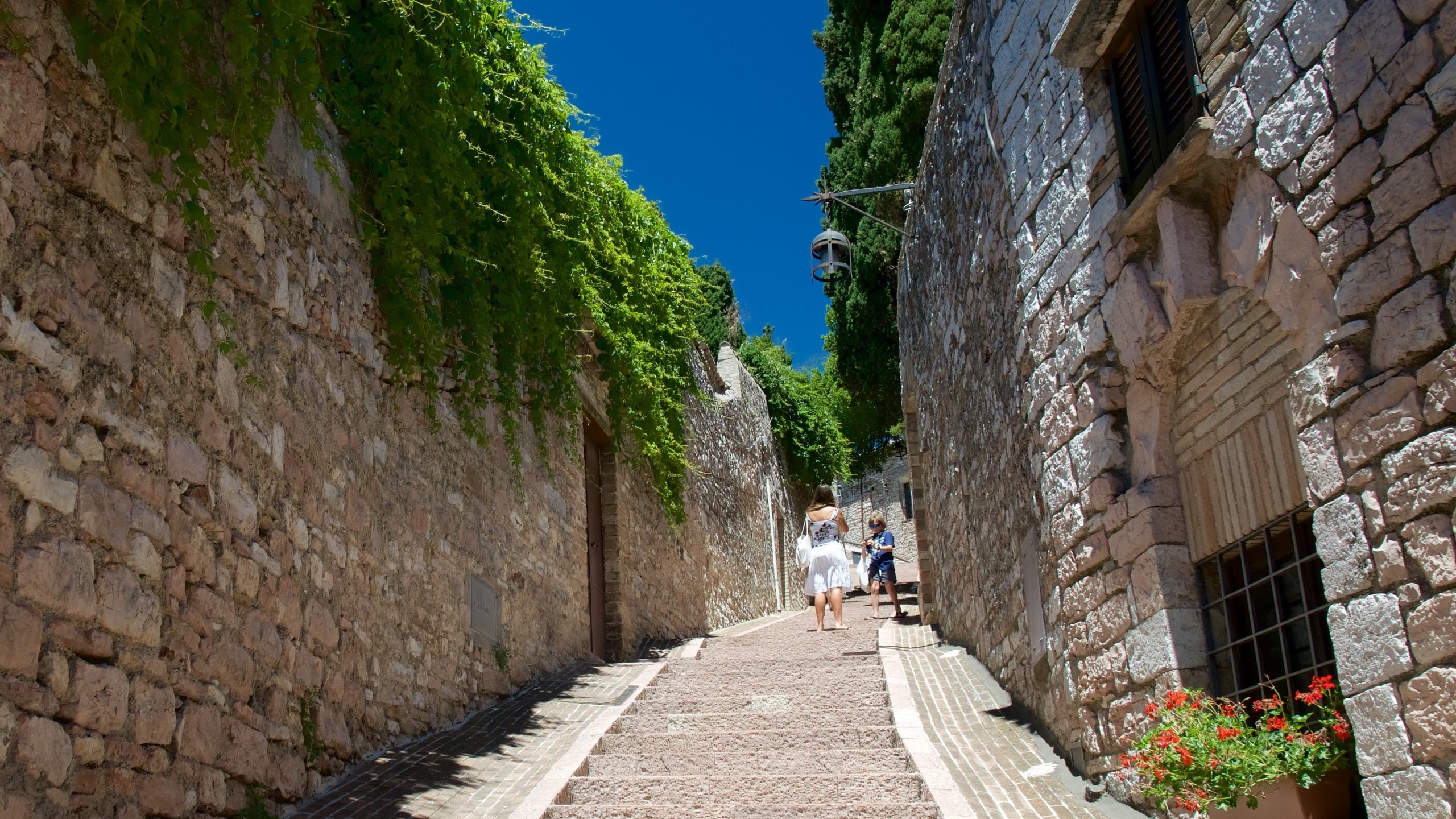 Assisi featuring street scenes