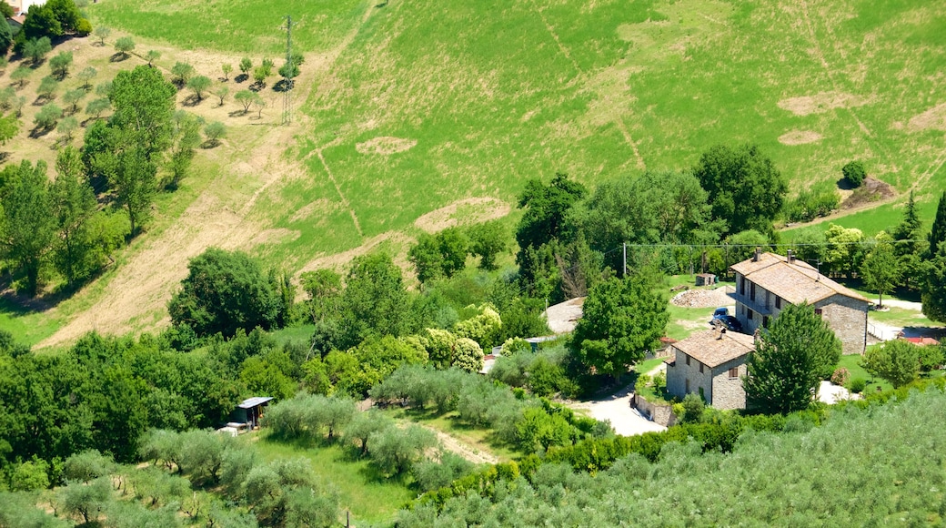 Todi presenterar ett hus, landskap och åkrar