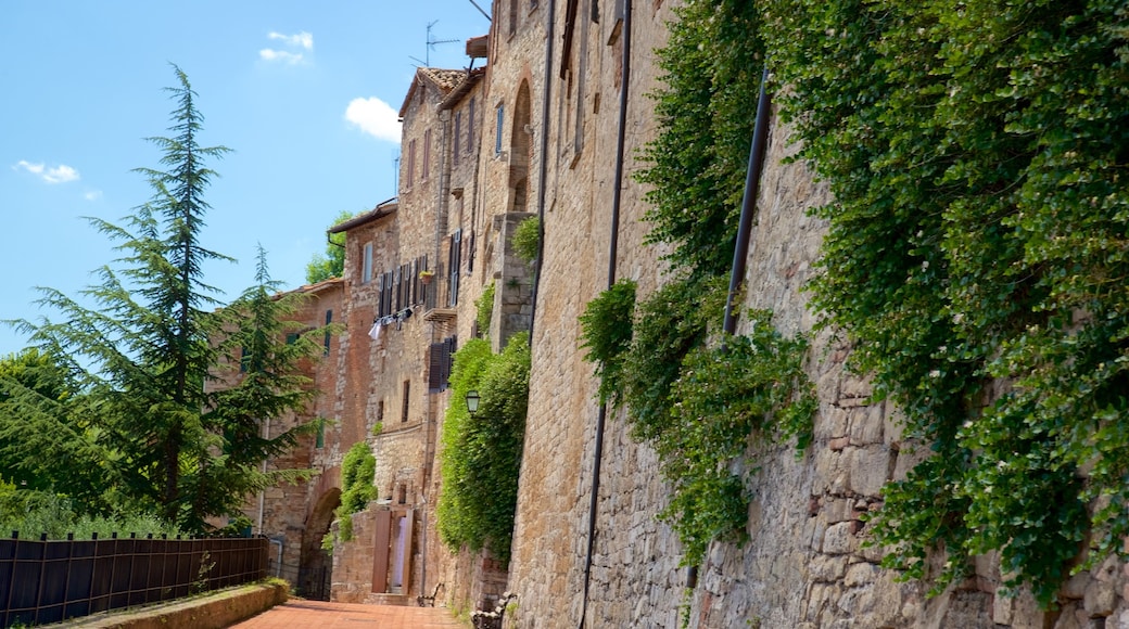 Todi which includes heritage architecture and a small town or village