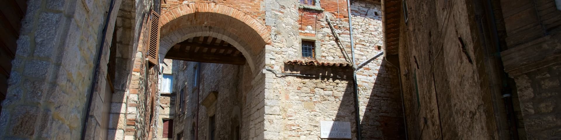 Porta Aurea featuring a small town or village, street scenes and heritage architecture