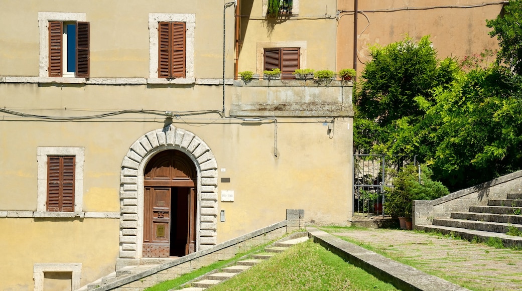 Todi som visar historisk arkitektur och en liten stad eller by