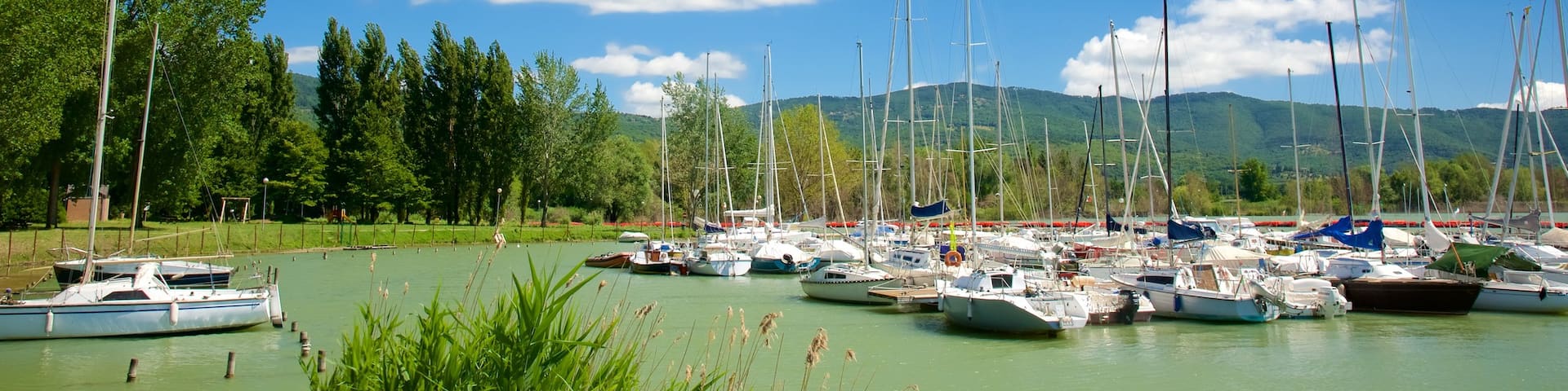 Tuoro sul Trasimeno featuring general coastal views, boating and a bay or harbor