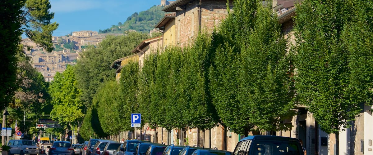Santa Maria degli Angeli showing a small town or village and street scenes