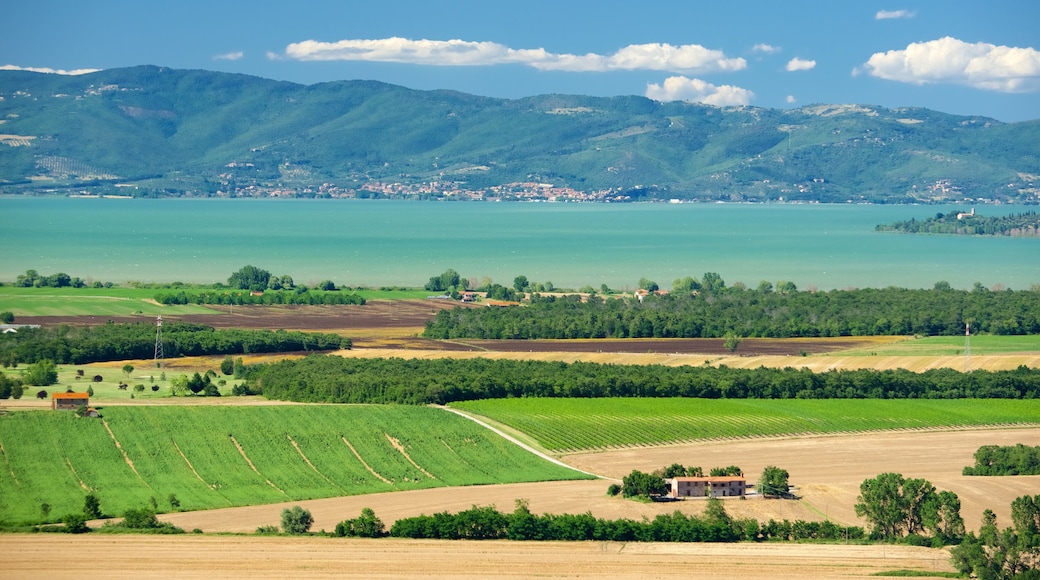 Panicale showing farmland, general coastal views and landscape views