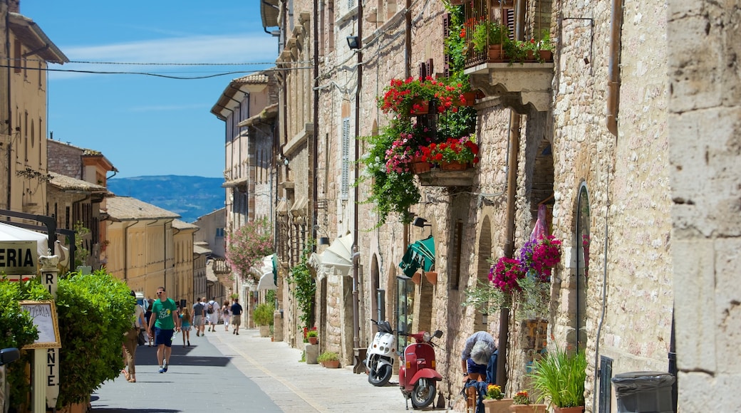 Via San Francesco showing street scenes, flowers and a small town or village