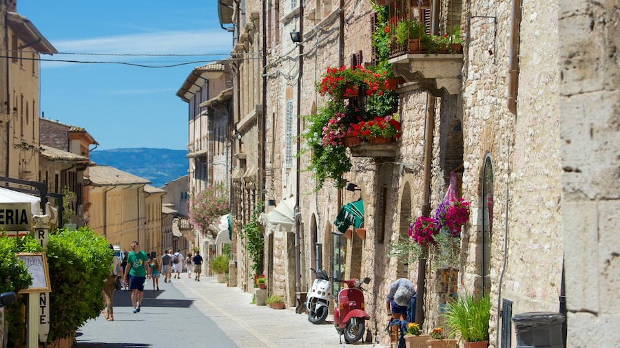 Via San Francesco featuring a coastal town, flowers and a small town or village