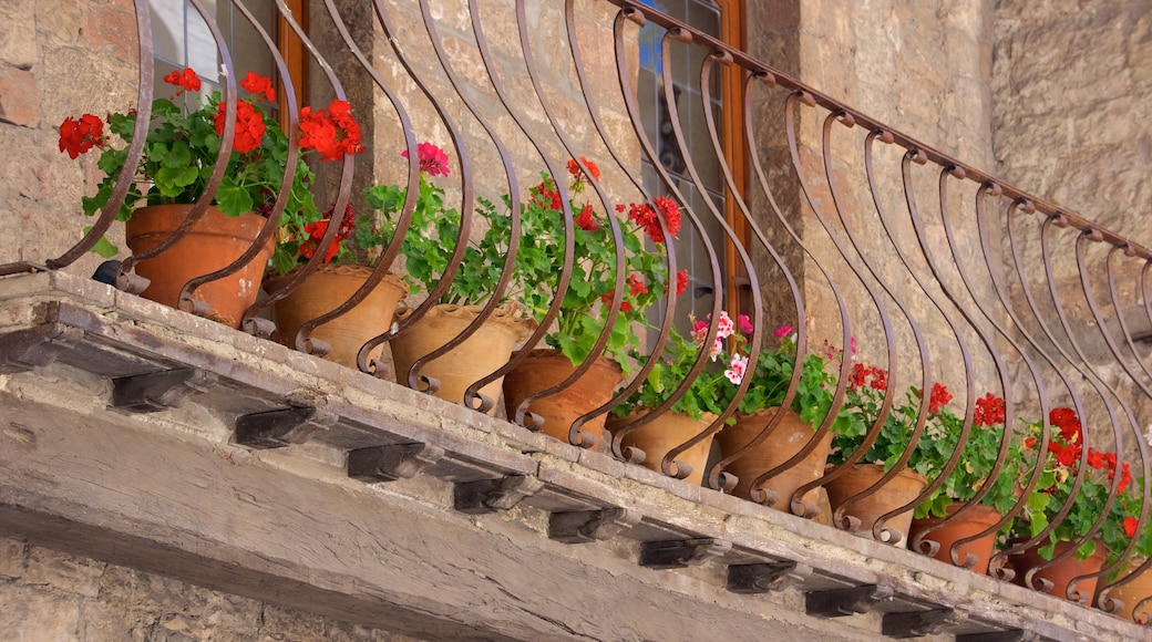 Via San Francesco featuring flowers