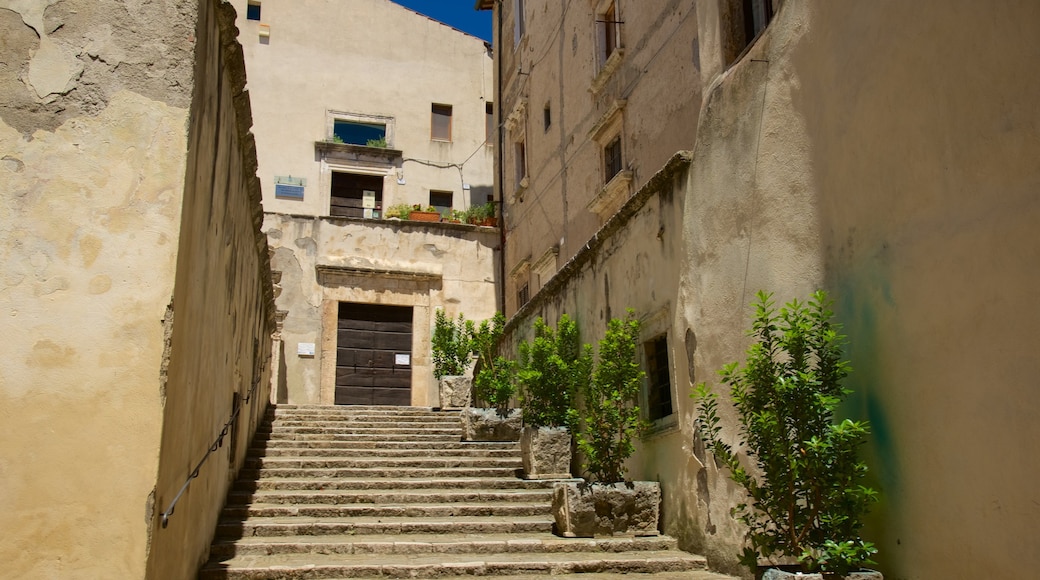 Pitigliano showing a small town or village