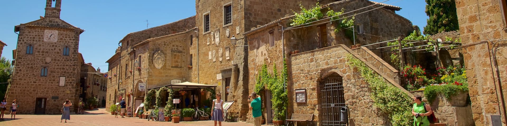 Sovana showing a small town or village