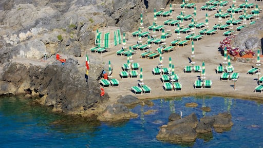 Talamone showing a coastal town, general coastal views and rocky coastline