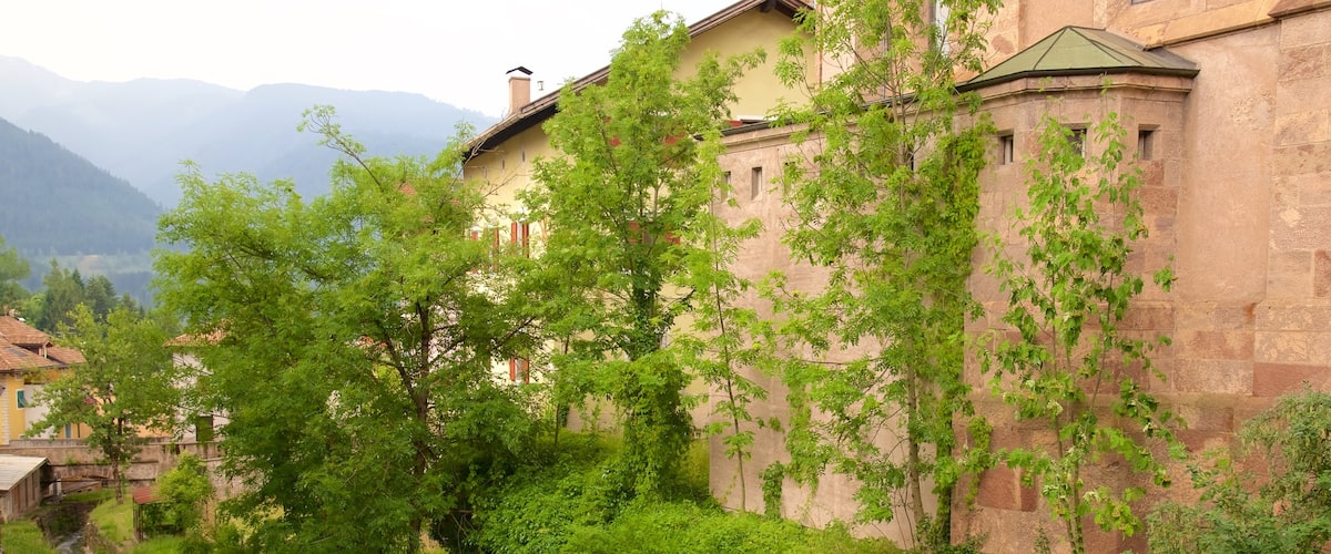 Cavalese showing heritage architecture