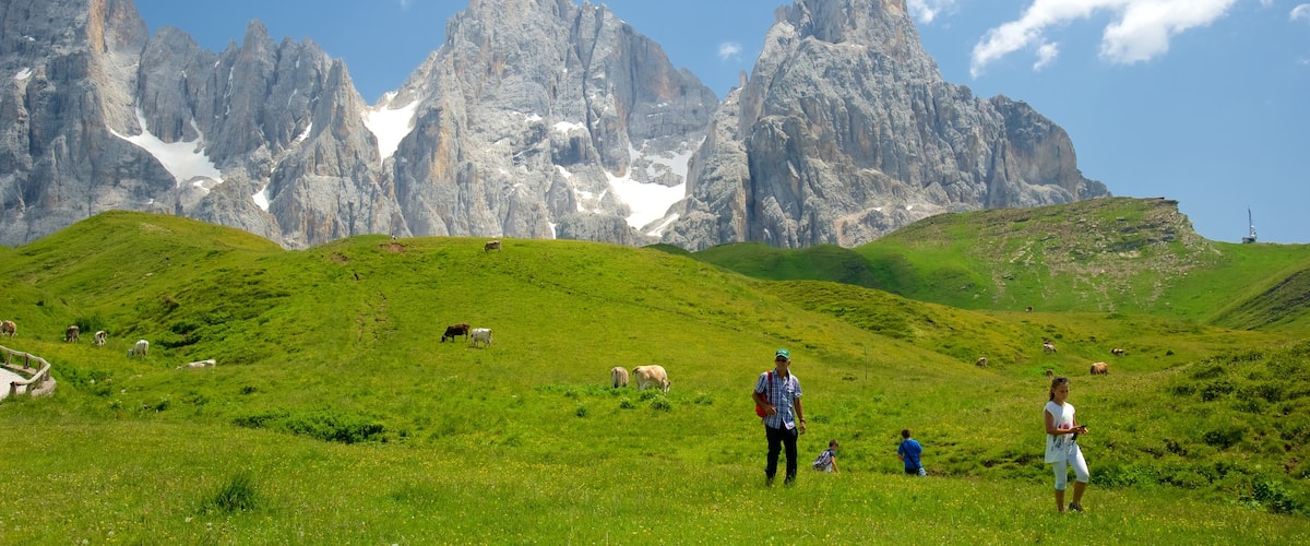 Passo Rolle which includes mountains and land animals as well as a small group of people